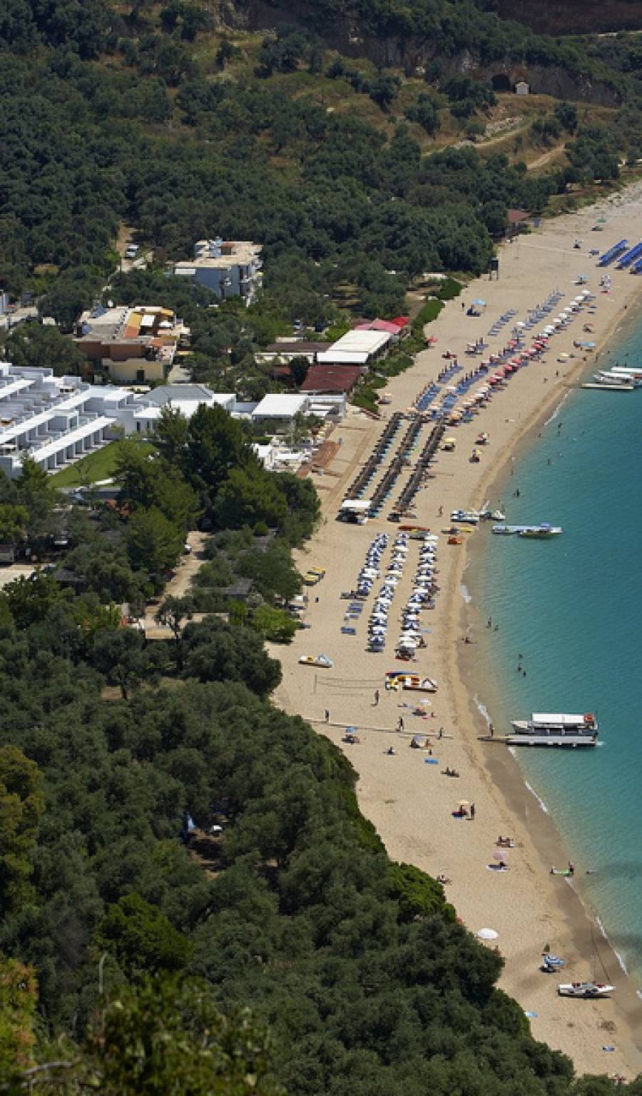 λιχνος εικόνα άρθρου