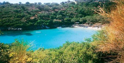 ζαβια_συβοτα_site2 εικόνα άρθρου