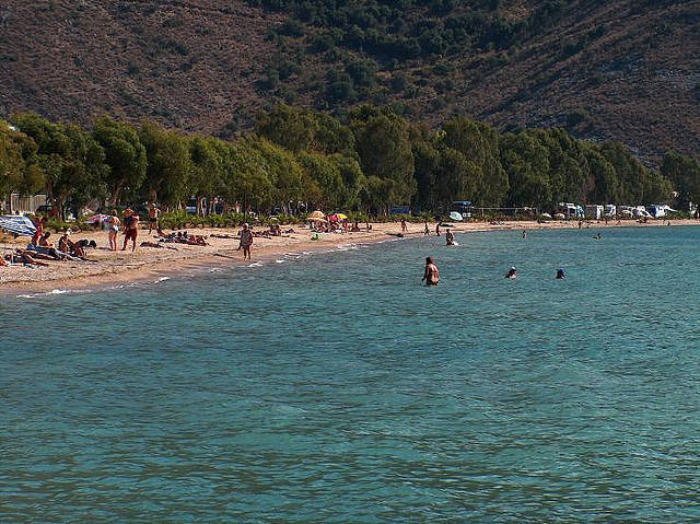 πλαταρια εικόνα άρθρου