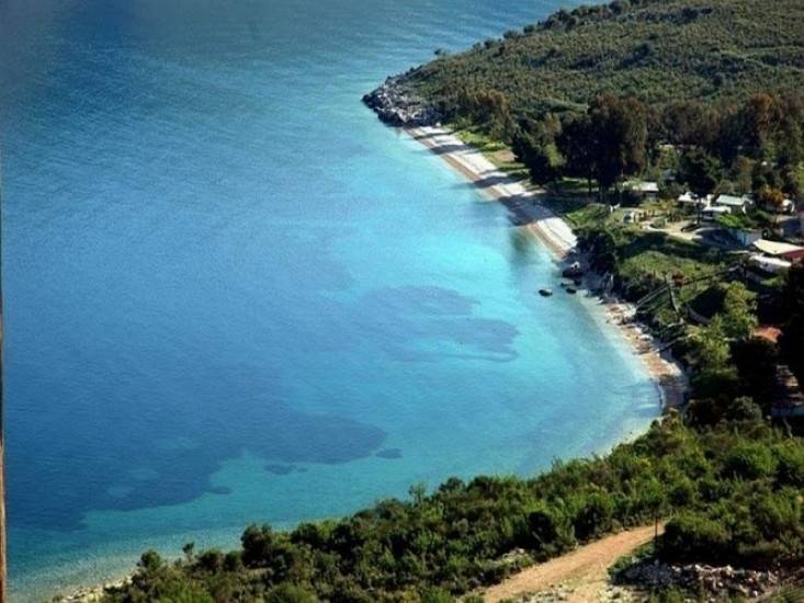 Naftilos1 εικόνα άρθρου
