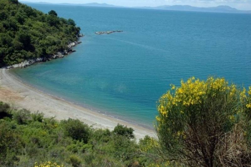 strovili εικόνα άρθρου