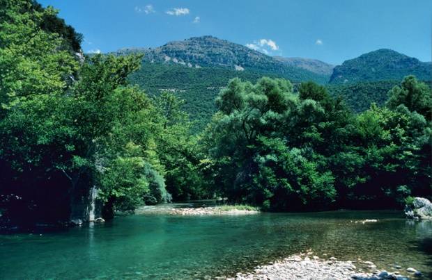 εικόνα άρθρου